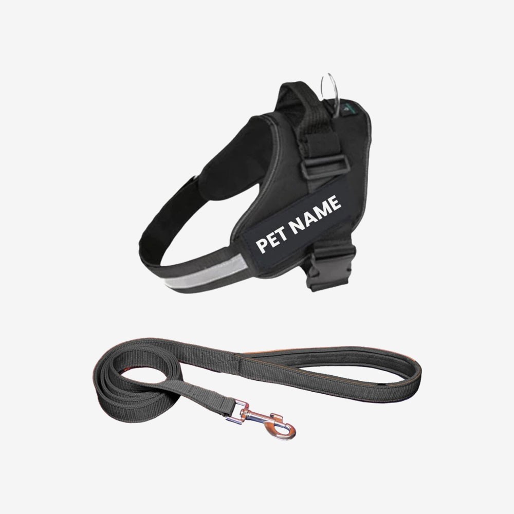 Payton Perry Customized Dog Vest Harness