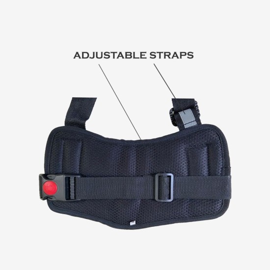 Payton Perry Customized Dog Vest Harness