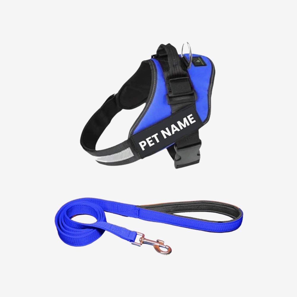 Payton Perry Customized Dog Vest Harness