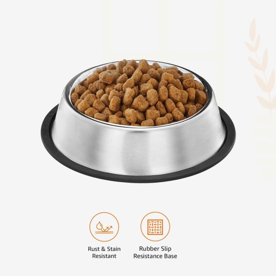 Pets Empire Stainless Steel Dog Bowl (Set of 2)