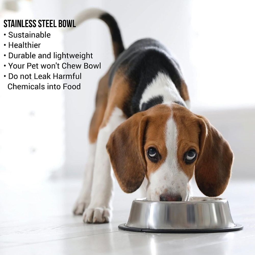 Pets Empire Stainless Steel Dog Bowl (Set of 2)