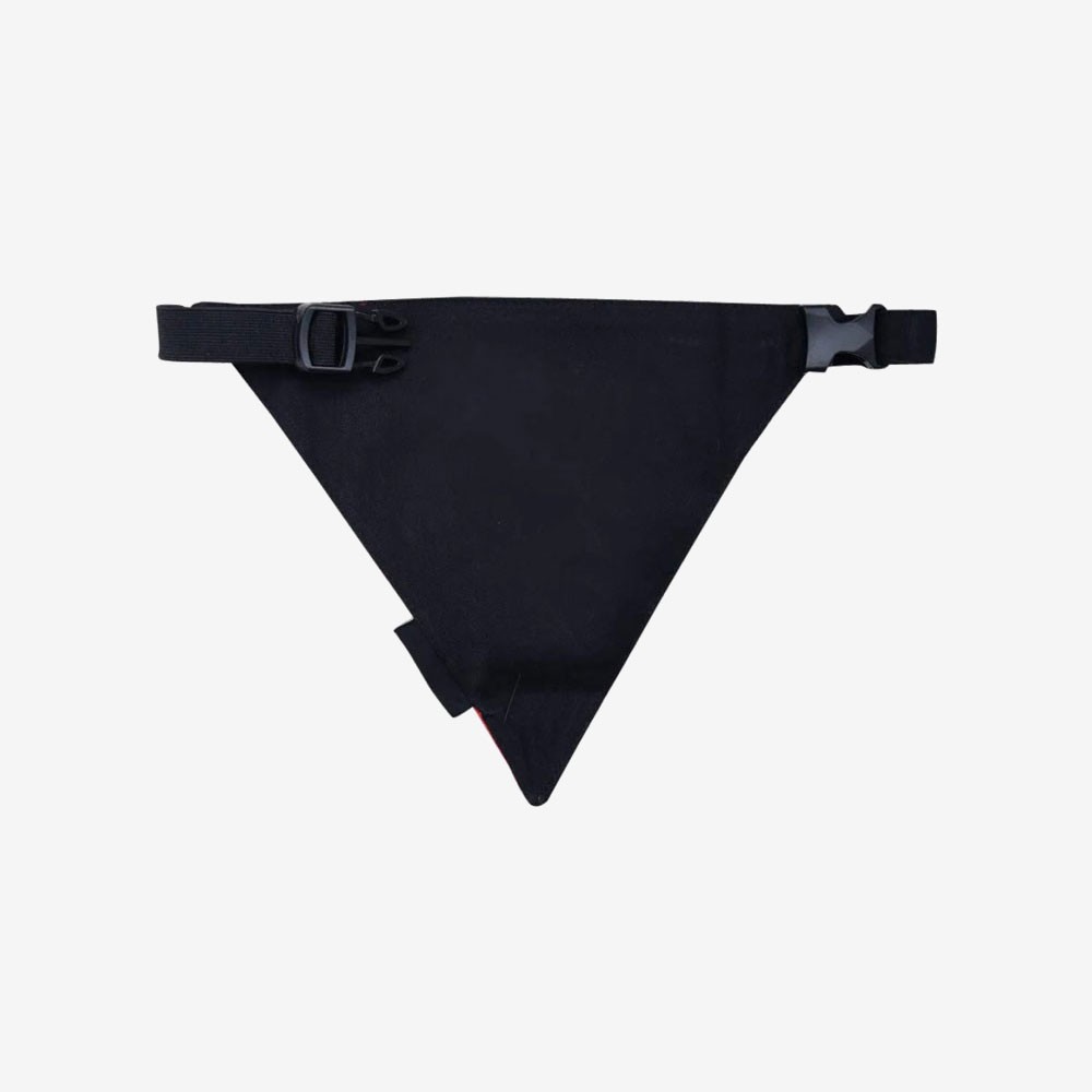 Mutt of Course Sniffing Around Bandana Small