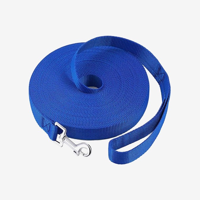 Dog/Puppy Obedience Recall Training Agility Lead