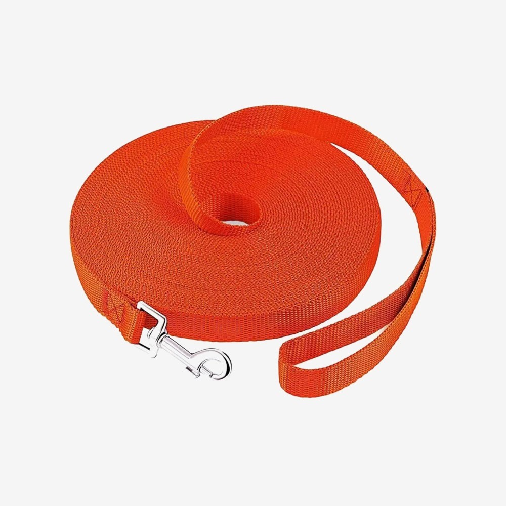 Dog/Puppy Obedience Recall Training Agility Lead