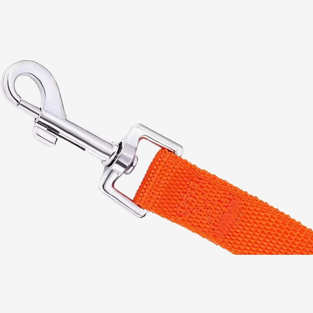 Dog/Puppy Obedience Recall Training Agility Lead