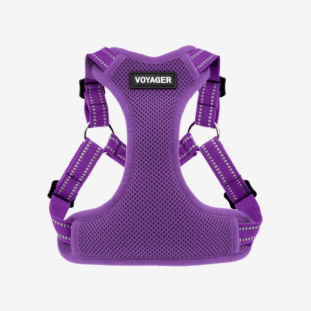 Voyager Step-in Lock Adjustable Dog Harness