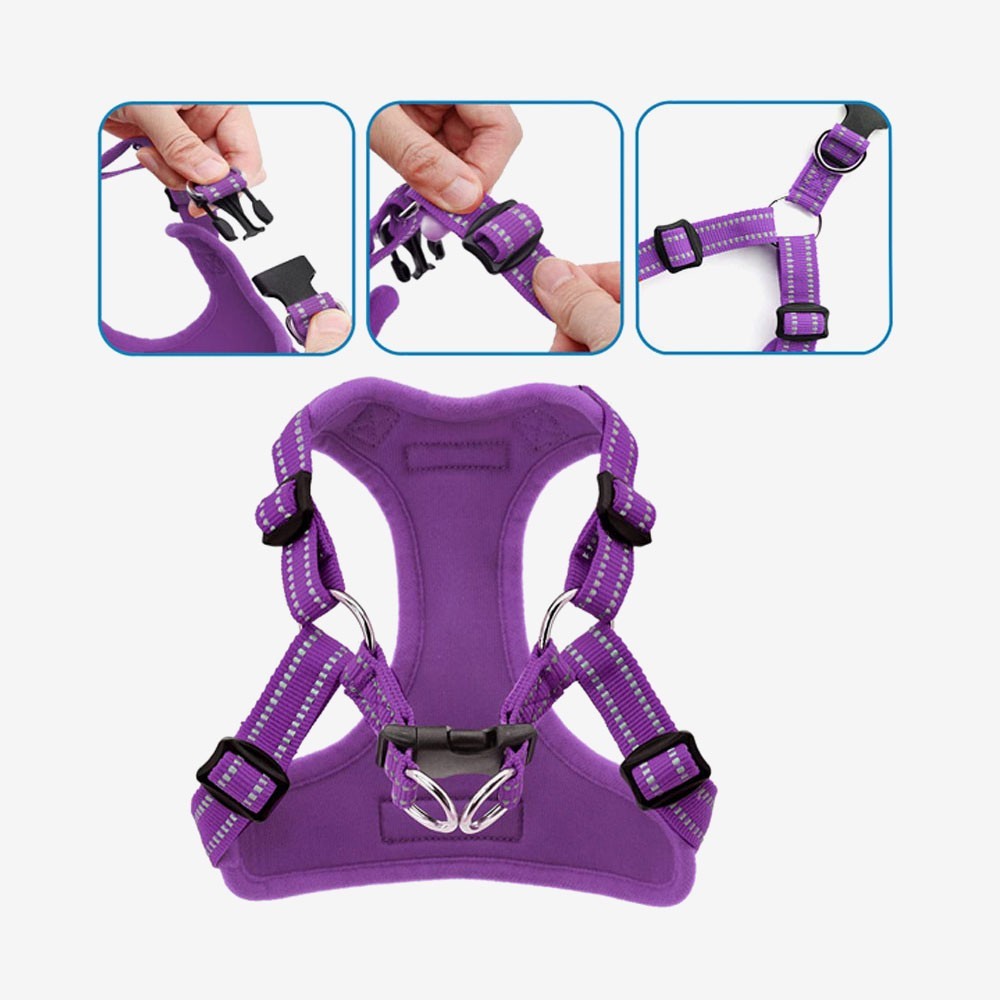 Voyager Step-in Lock Adjustable Dog Harness